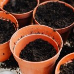Vom PVC-Rohr zum Designer-Blumentopf: Einfaches DIY für Balkon und Garten