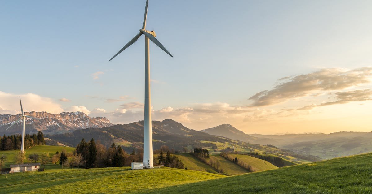 Jetzt Zuschüsse sichern: Die neuesten Förderchancen für Solar, Wärmepumpen & Co. im Überblick