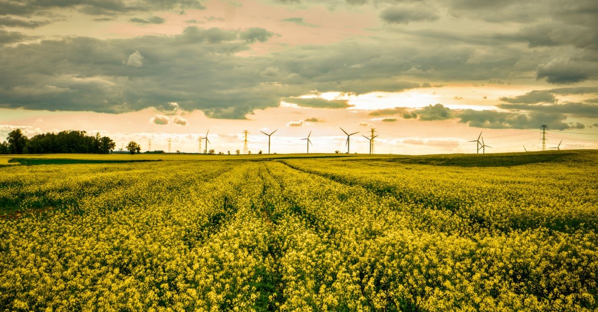 Polens Energiemarkt im Aufbruch: Von Kohle zu Klimaschutz – was sich jetzt verändert