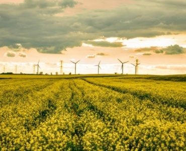 Polens Energiemarkt im Aufbruch: Von Kohle zu Klimaschutz – was sich jetzt verändert