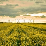 Polens Energiemarkt im Aufbruch: Von Kohle zu Klimaschutz – was sich jetzt verändert