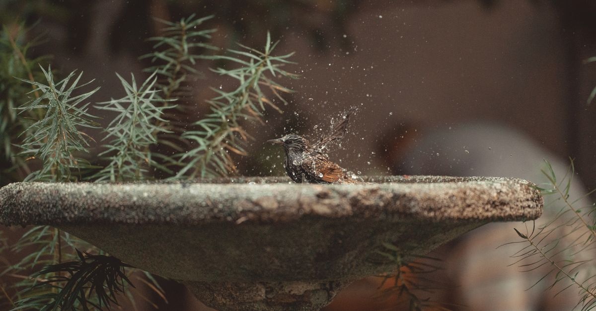 Zauber des Wassers: Kreative Steinbrunnen-Ideen für Ihren Garten