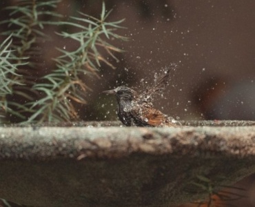 Zauber des Wassers: Kreative Steinbrunnen-Ideen für Ihren Garten