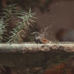 Zauber des Wassers: Kreative Steinbrunnen-Ideen für Ihren Garten