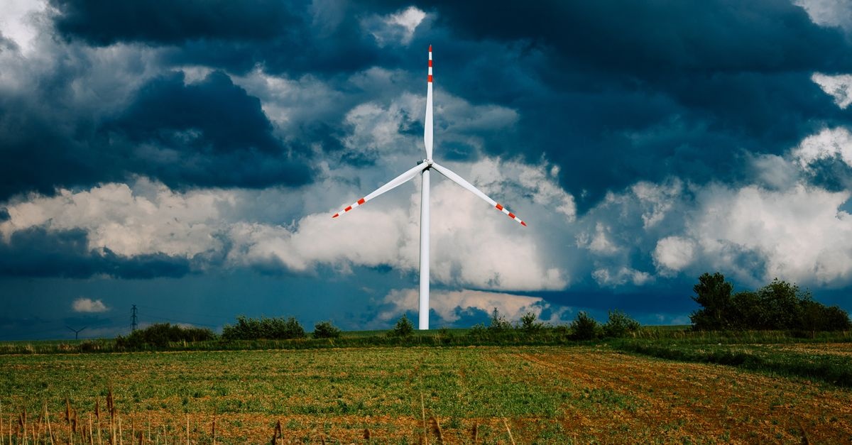 Polens grüne Renditechampions: Die lukrativsten erneuerbaren Energien im Überblick