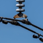 Spitzenlast entschlüsselt: Warum Lastspitzen das Energiesystem herausfordern – und wie smarte Flexibilität Kosten und CO₂ senkt