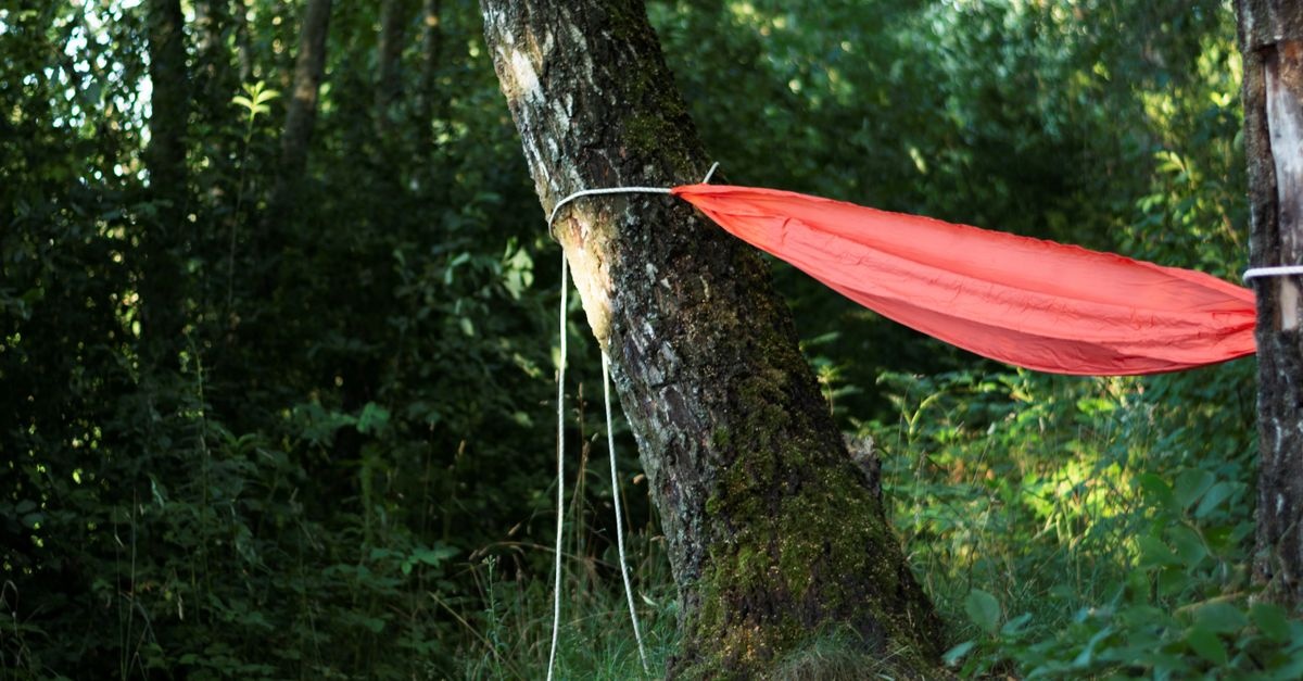 Zwischen den Bäumen schweben: Kreative Hängematten-Ideen für deinen Garten