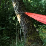 Zwischen den Bäumen schweben: Kreative Hängematten-Ideen für deinen Garten