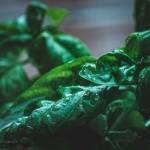 Kräuter immer zur Hand: Dein Mini-Garten an der Küchentür – clever planen und direkt loslegen