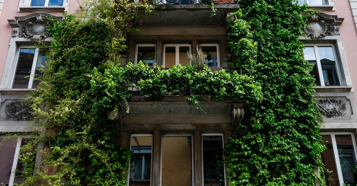 Grün nach oben: So baust du dir einen vertikalen Garten am Balkon – Schritt für Schritt zum DIY-Erfolg
