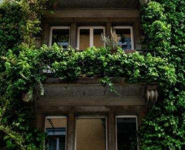 Grün nach oben: So baust du dir einen vertikalen Garten am Balkon – Schritt für Schritt zum DIY-Erfolg