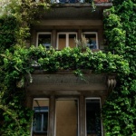 Grün nach oben: So baust du dir einen vertikalen Garten am Balkon – Schritt für Schritt zum DIY-Erfolg