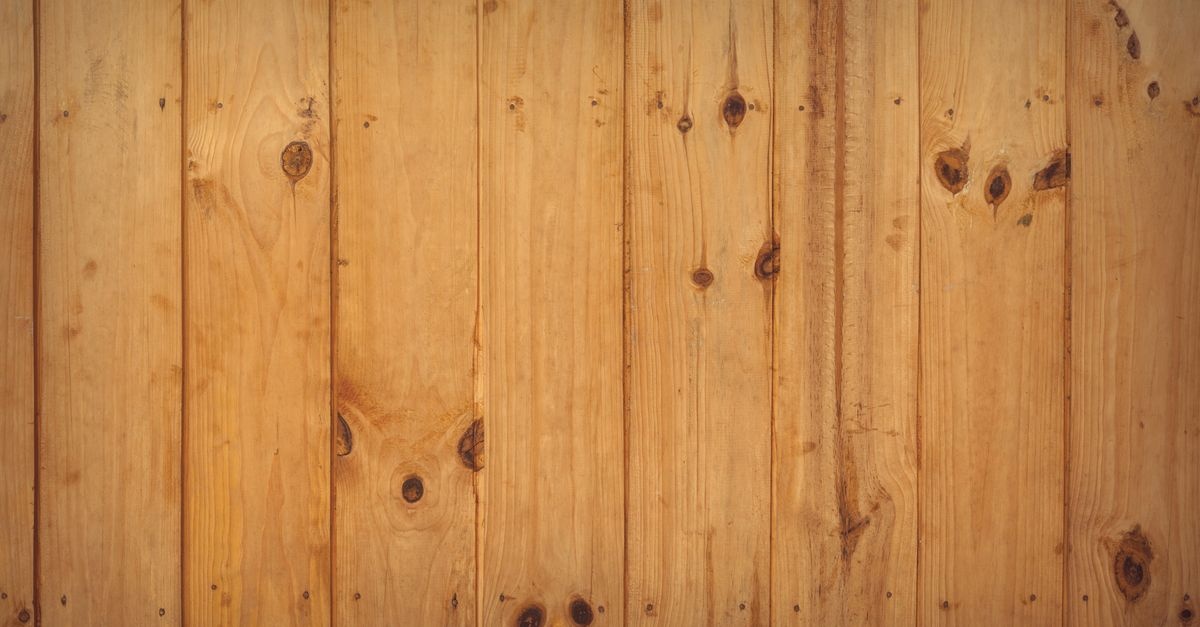 Kiefernholz im Beet: 15 kreative Umrandungs-Ideen für einen natürlichen Garten-Look