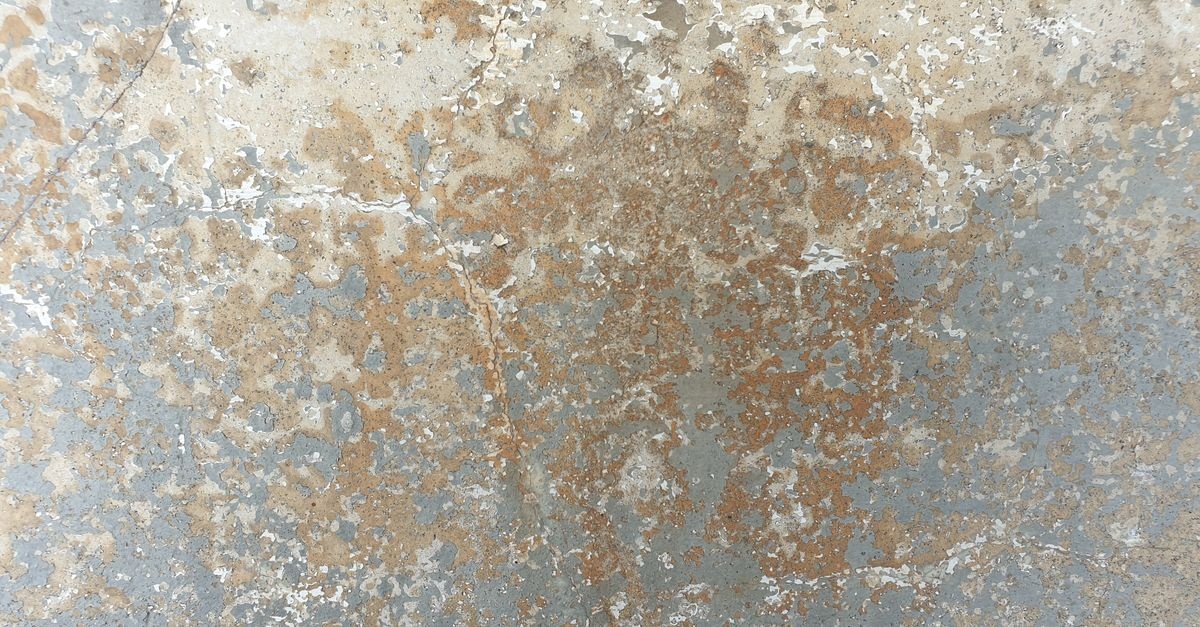 Feuchte Wände? Die wahren Ursachen erkennen – und dauerhaft beseitigen