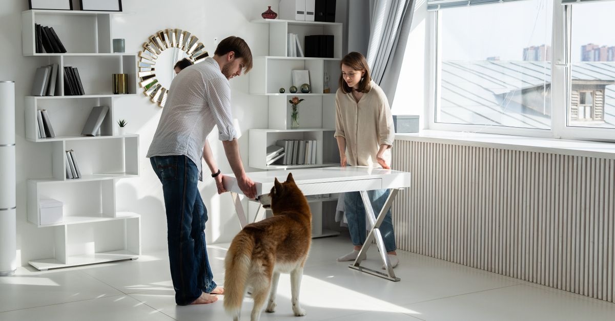 Tierisch aufgeräumt: Smarte Raumlösungen für Hund, Katze & Co.
