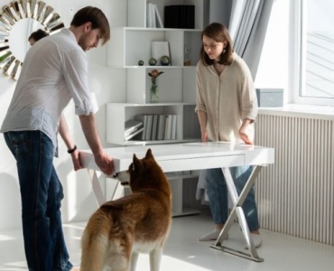 Tierisch aufgeräumt: Smarte Raumlösungen für Hund, Katze & Co.