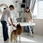 Tierisch aufgeräumt: Smarte Raumlösungen für Hund, Katze & Co.